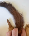 Vintage Red Marten Fur Stole 4 Pelts 30s 40s VFG