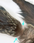 Double Silver Fox Fur Stole Glam Flawed As-Is Weisser VFG