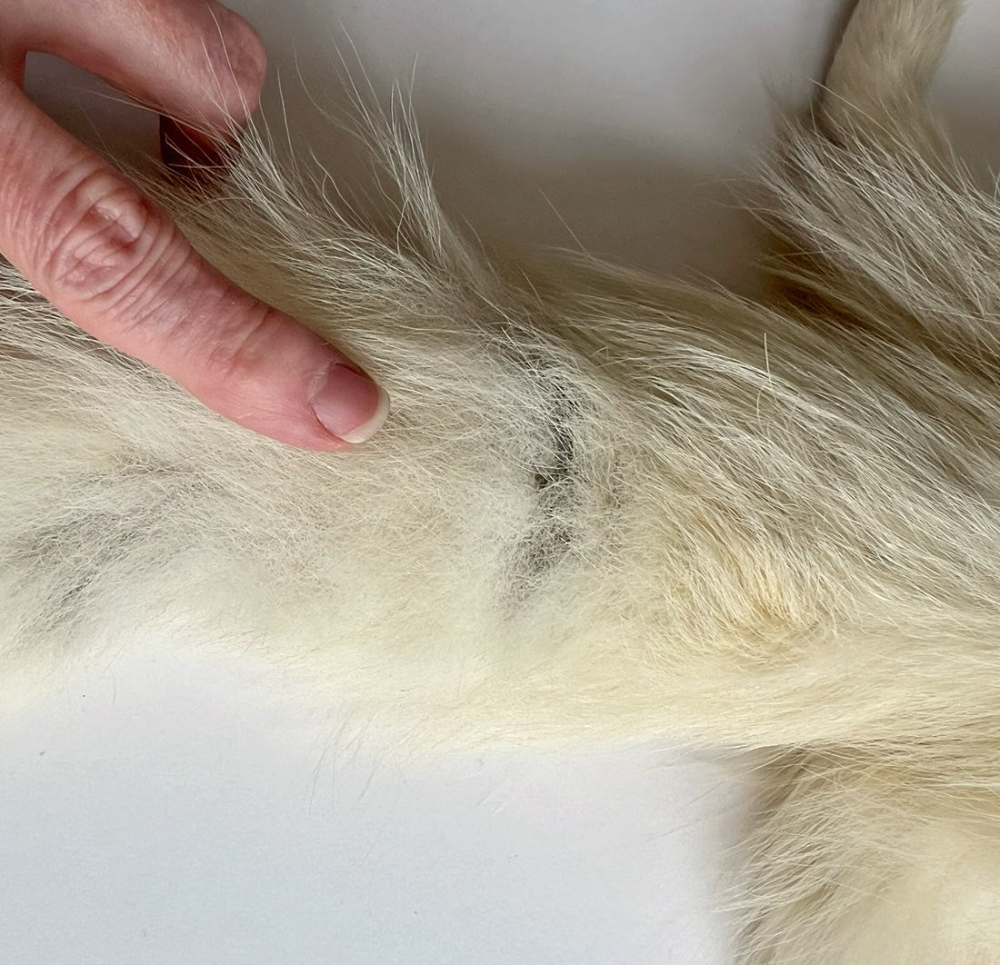 Vintage White Fox Fur Pelt Stole 20s 30s Hollywood Glam VFG