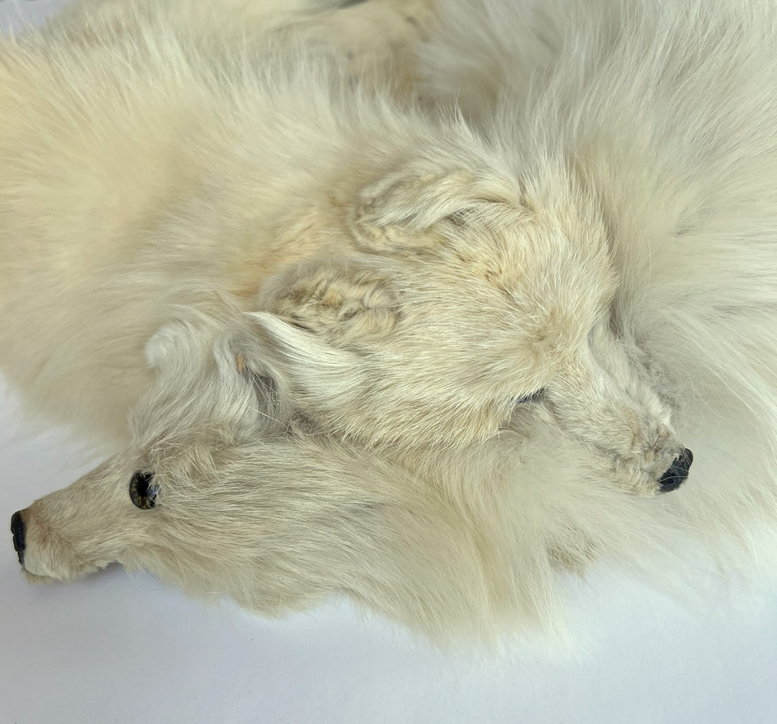 30s Vintage Arctic White Fox Fur Stole Double Pelt Bridal Fur VFG