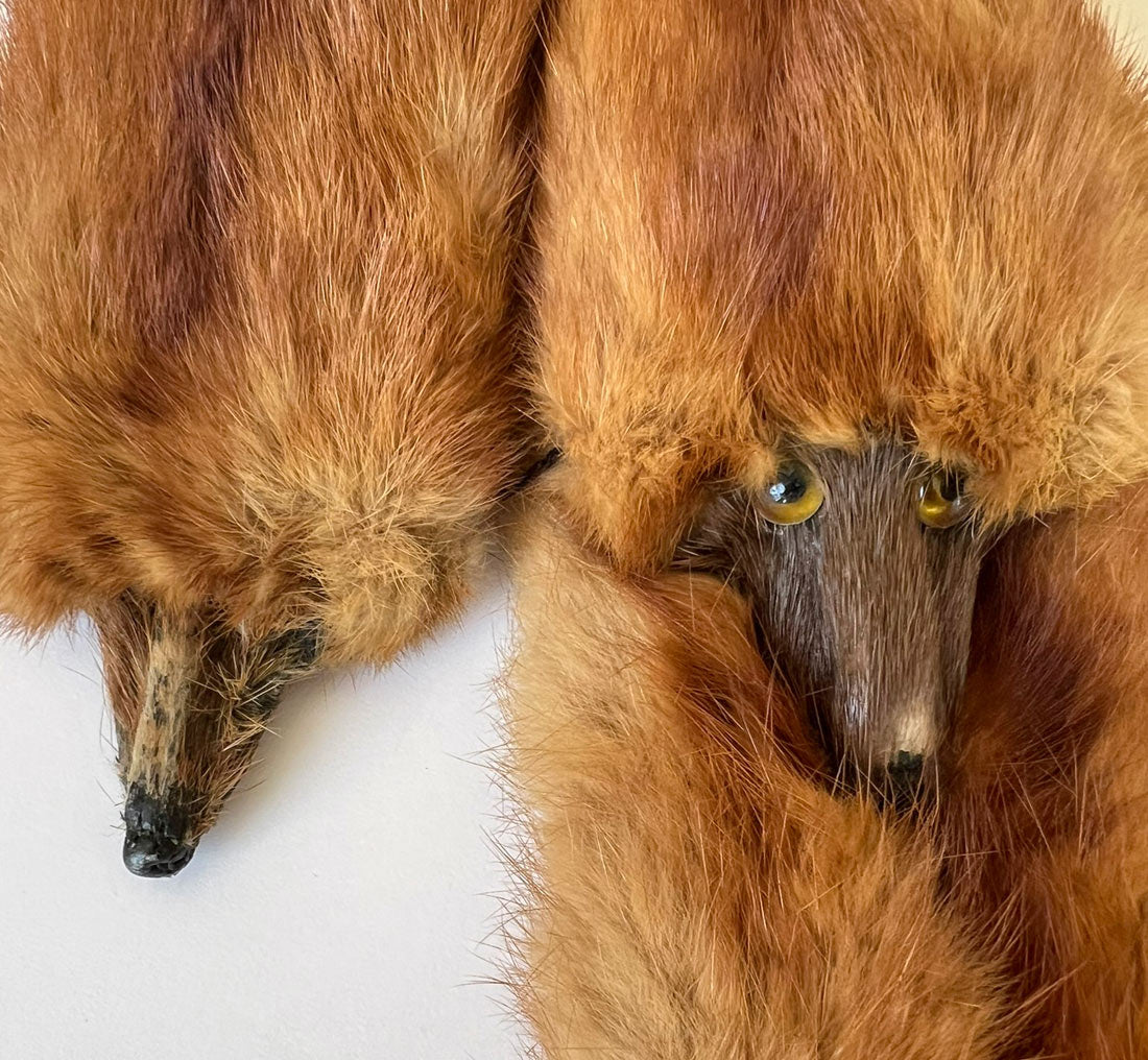 Vintage Red Marten Fur Stole 4 Pelts 30s 40s VFG