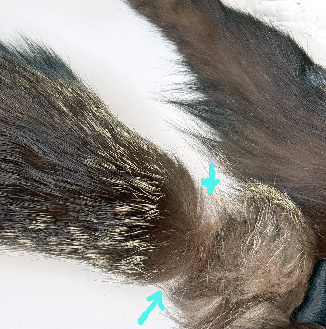 Double Silver Fox Fur Stole Glam Flawed As-Is Weisser VFG